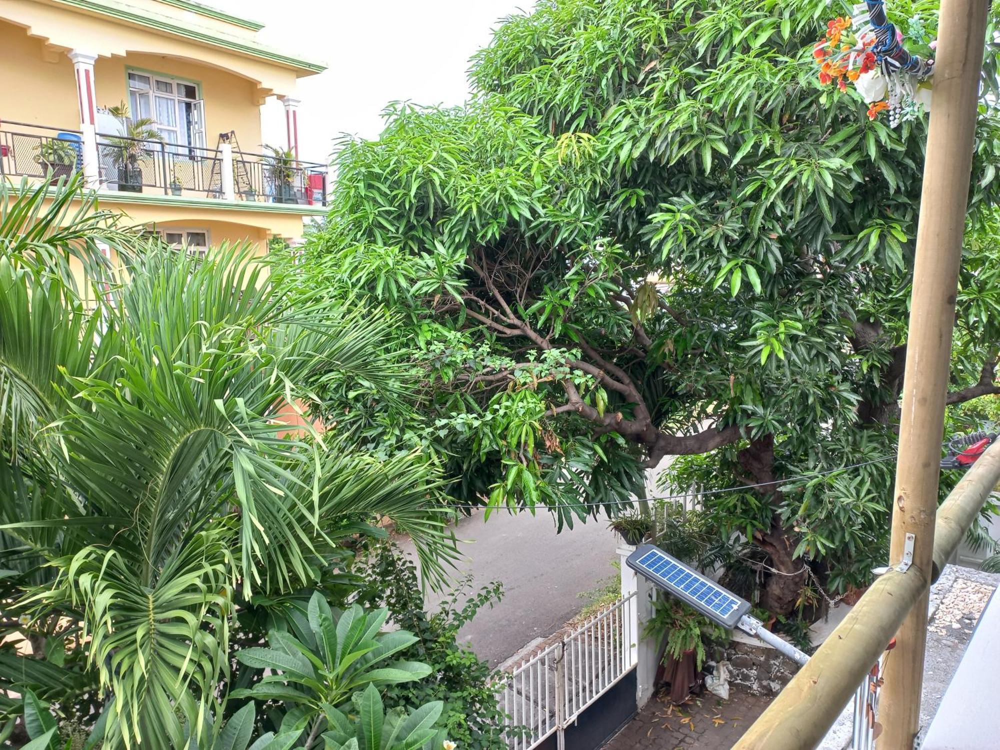 Open Air Café&Apartment Port Louis Habitación foto